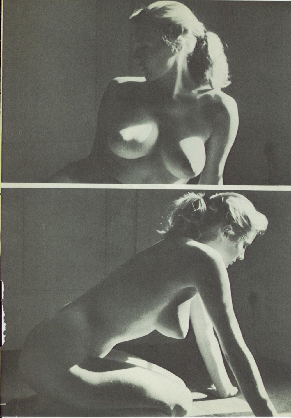 Wallpaper photos of naked Anita Ecberg