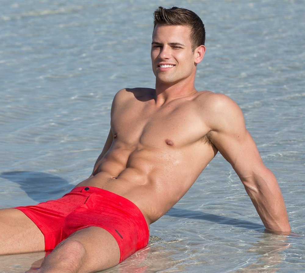 Alex Landy Torsos