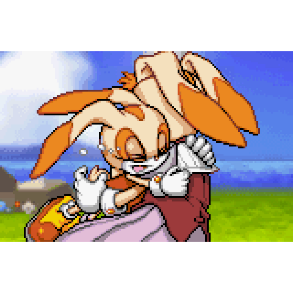 Vanilla Rabbit of Sonic