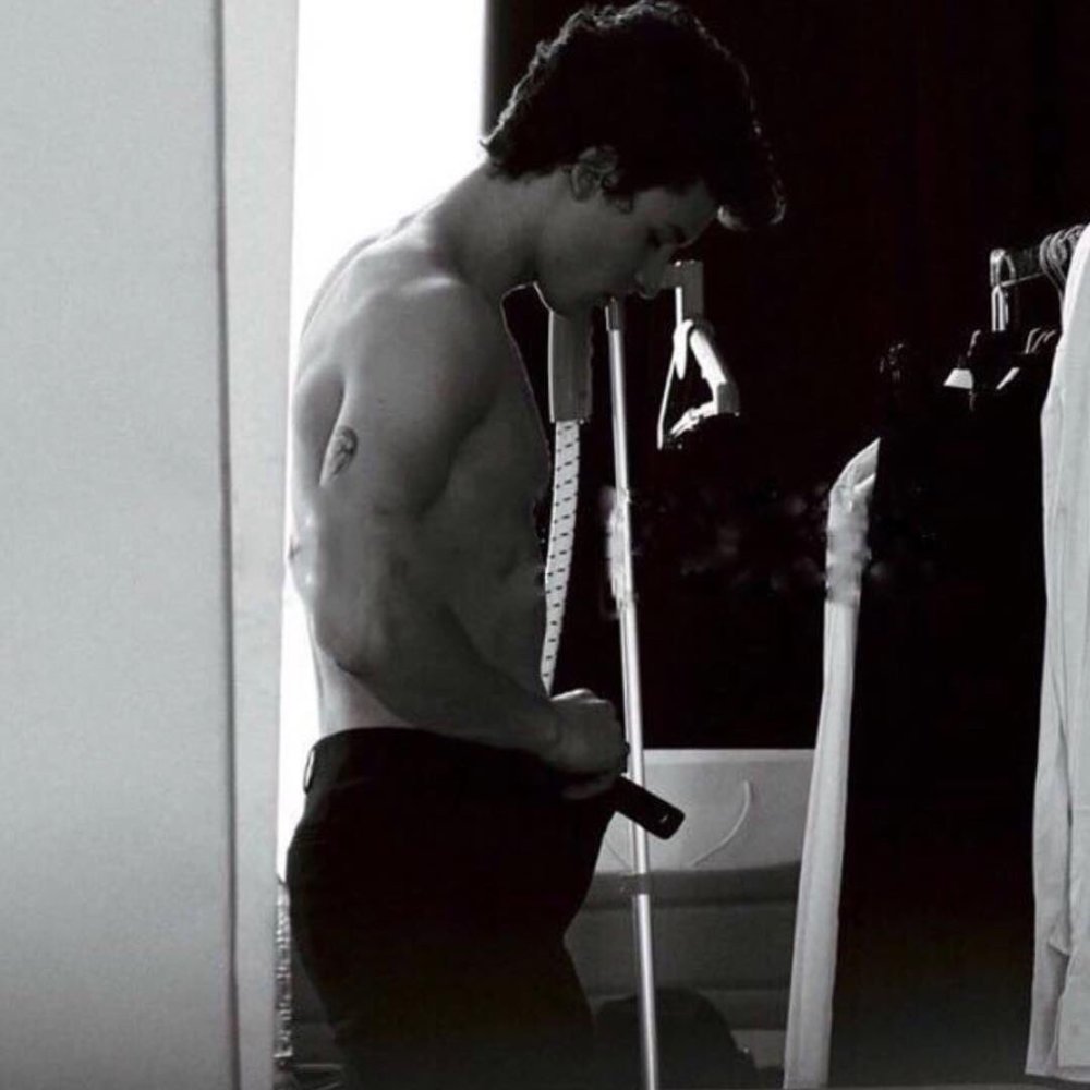 Niall Horan torso
