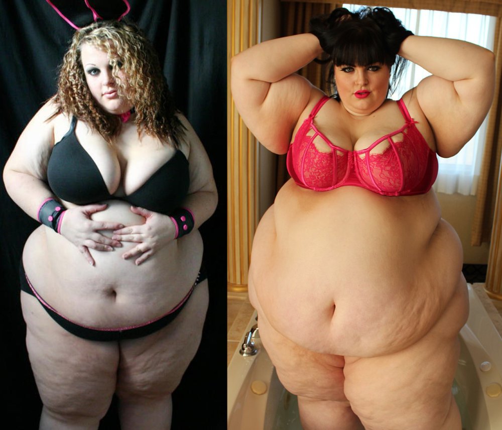 Leice Carroll Plus Saiz