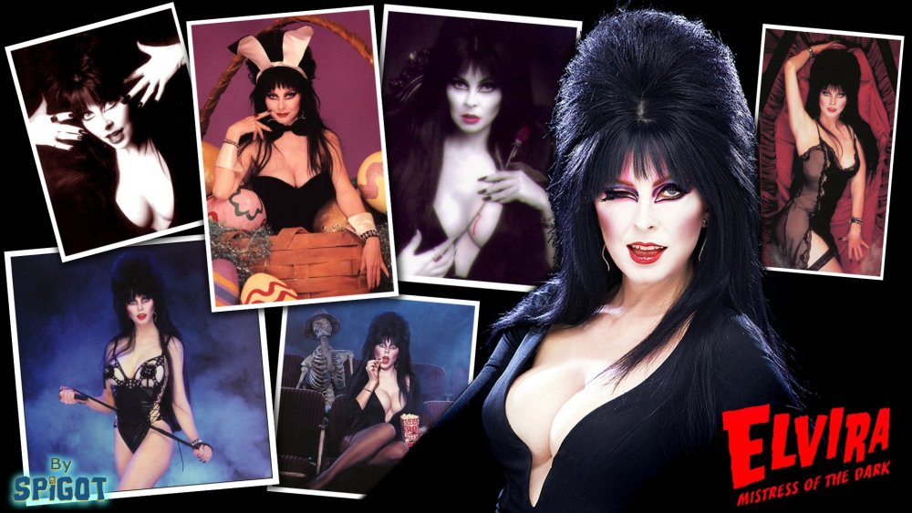 Elvira Lord of darkness 1988 cover