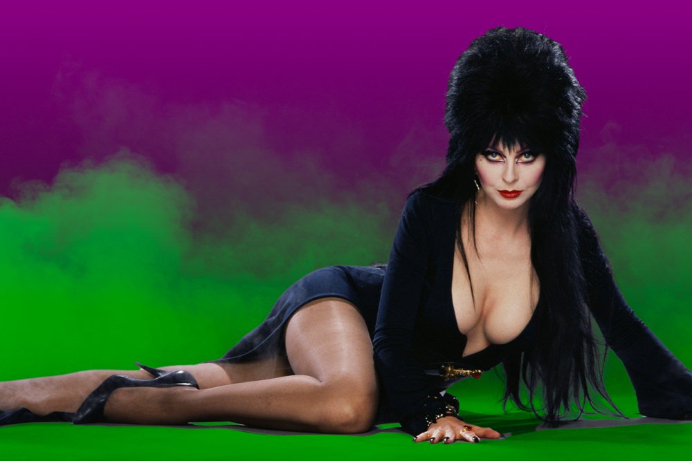 Elvira Lord of Darkness