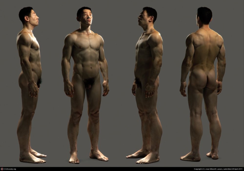 Naked male body Anatomy
