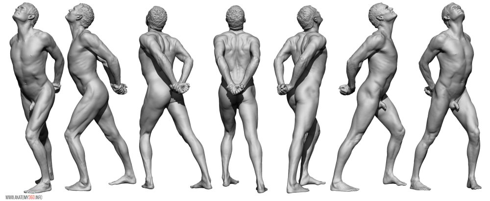 Erotic male reference