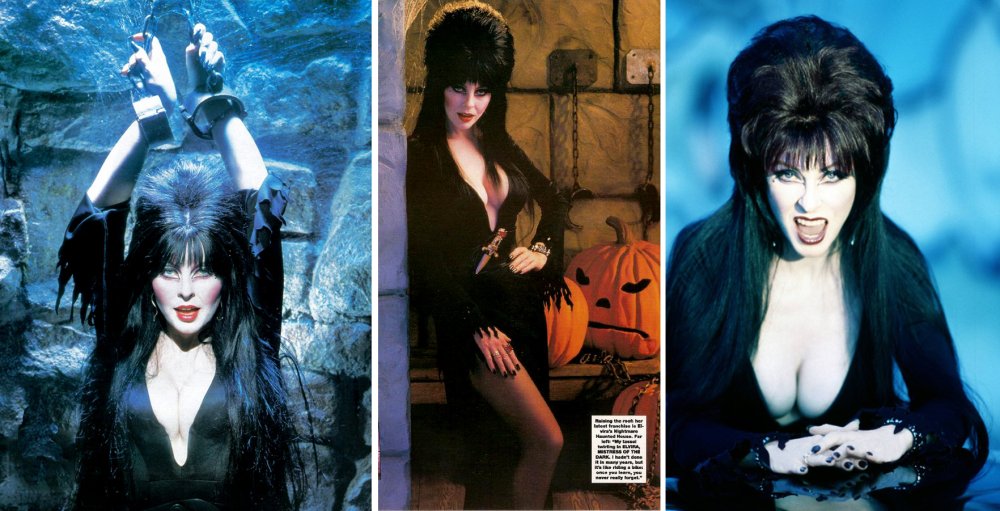 Elvira lord of darkness actress photo in a swimsuit