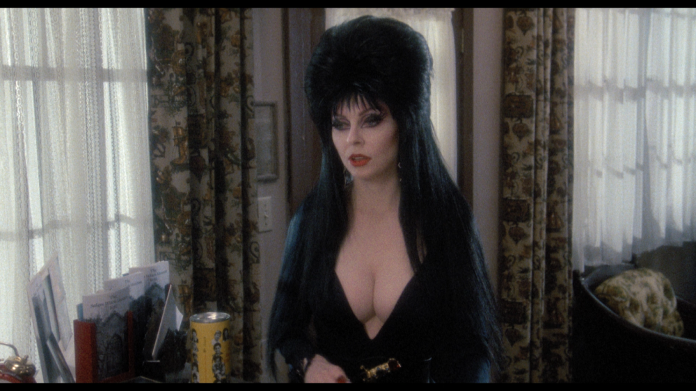 Elvira Lord of Darkness