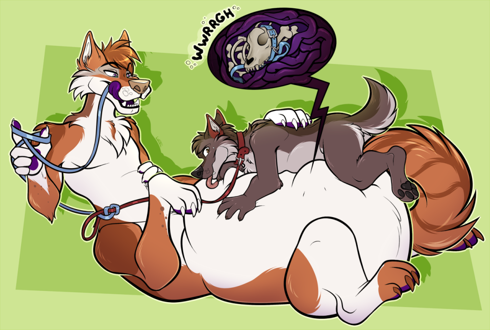 Belly inflation is large