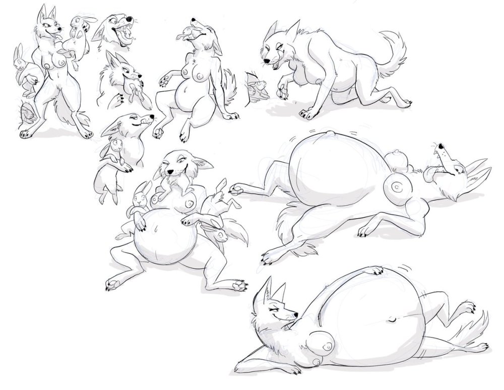Belly Inflation Griffin