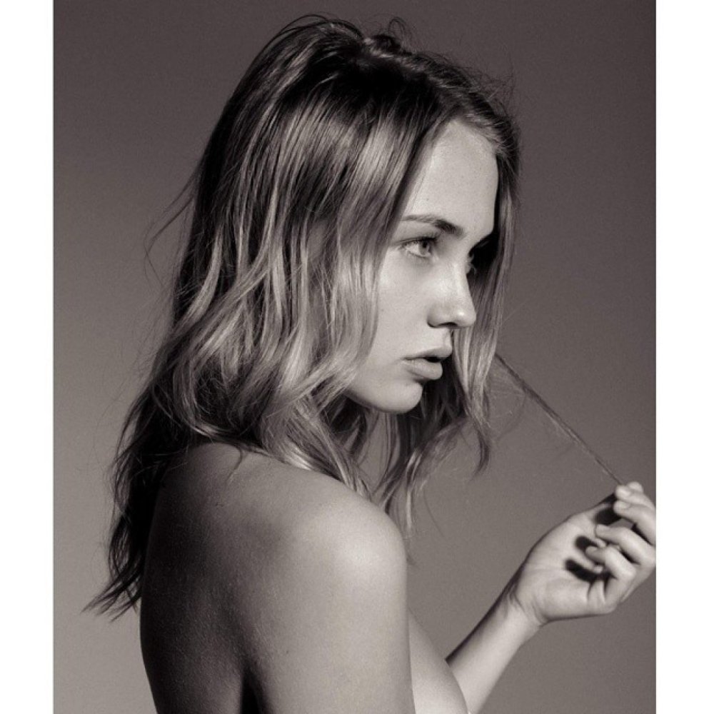 Britt VLDL