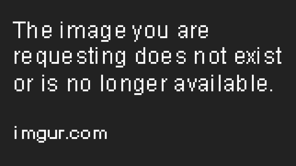 Search line without a background