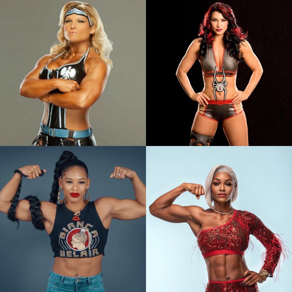 Wwe Bella Nikki Bermena