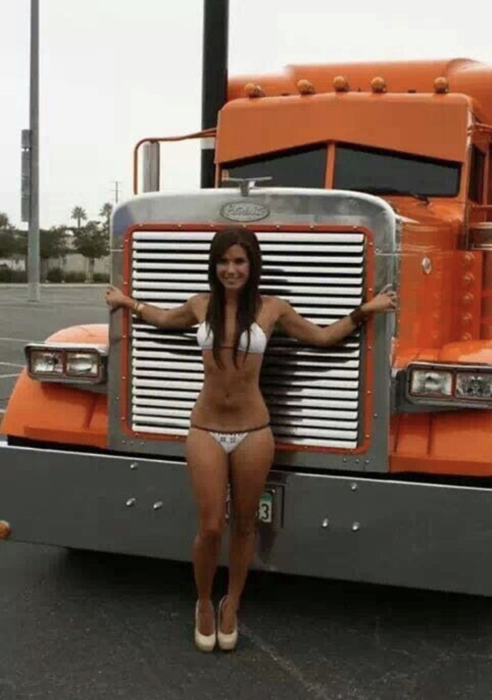Naked chicks and cars