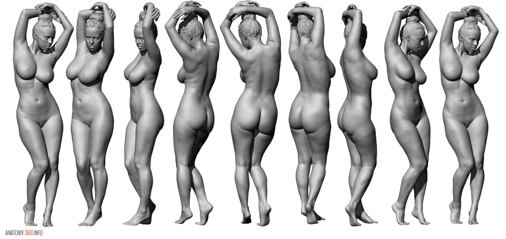 A model with an ideal body