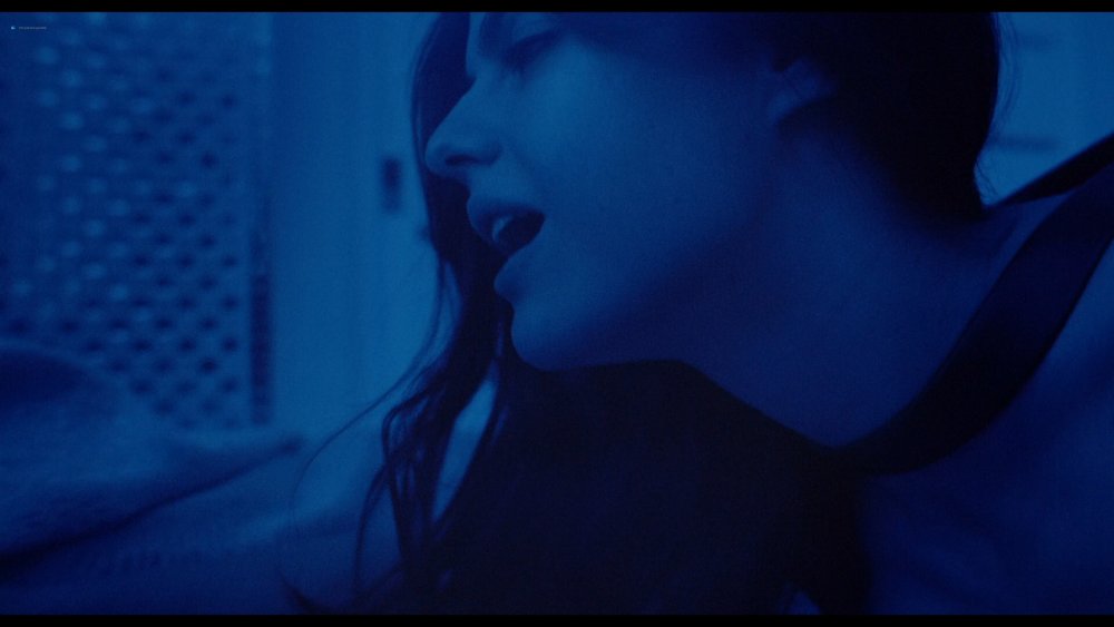 Alexandra Daddario Lost Girls and Love Hotels