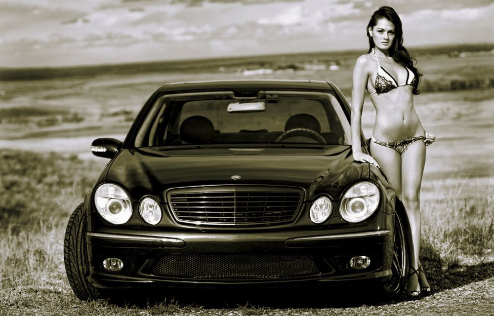 Mercedes and chicks