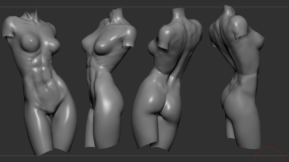 Naked bodies for references