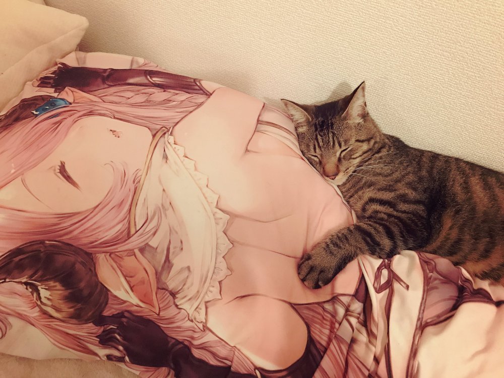 The cat hugs the chest