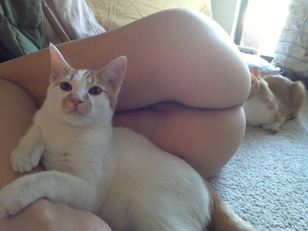 Erotic photo shoot with cats