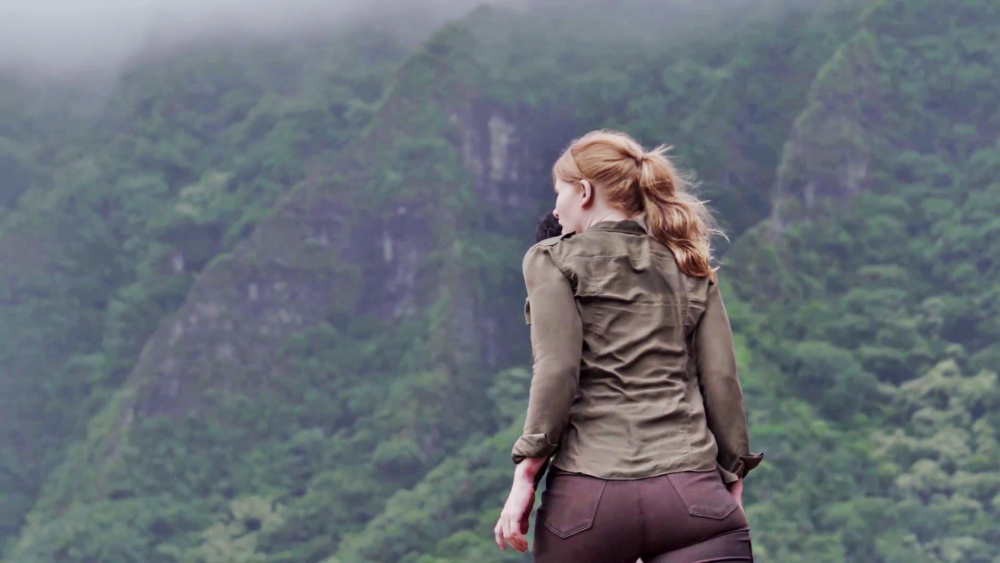Bryce Dallas Howard Bikini