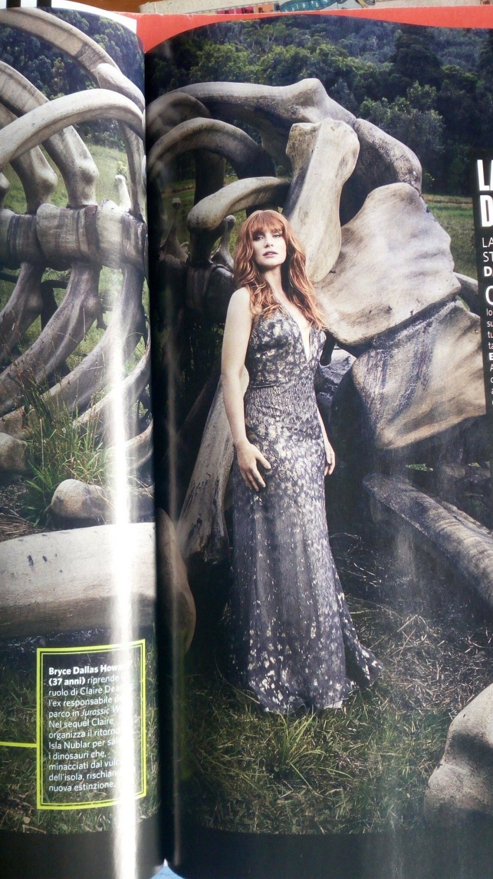 Actress Bryce Dallas Howard
