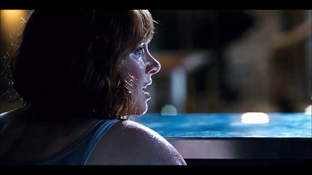 Bryce Howard in a swimsuit