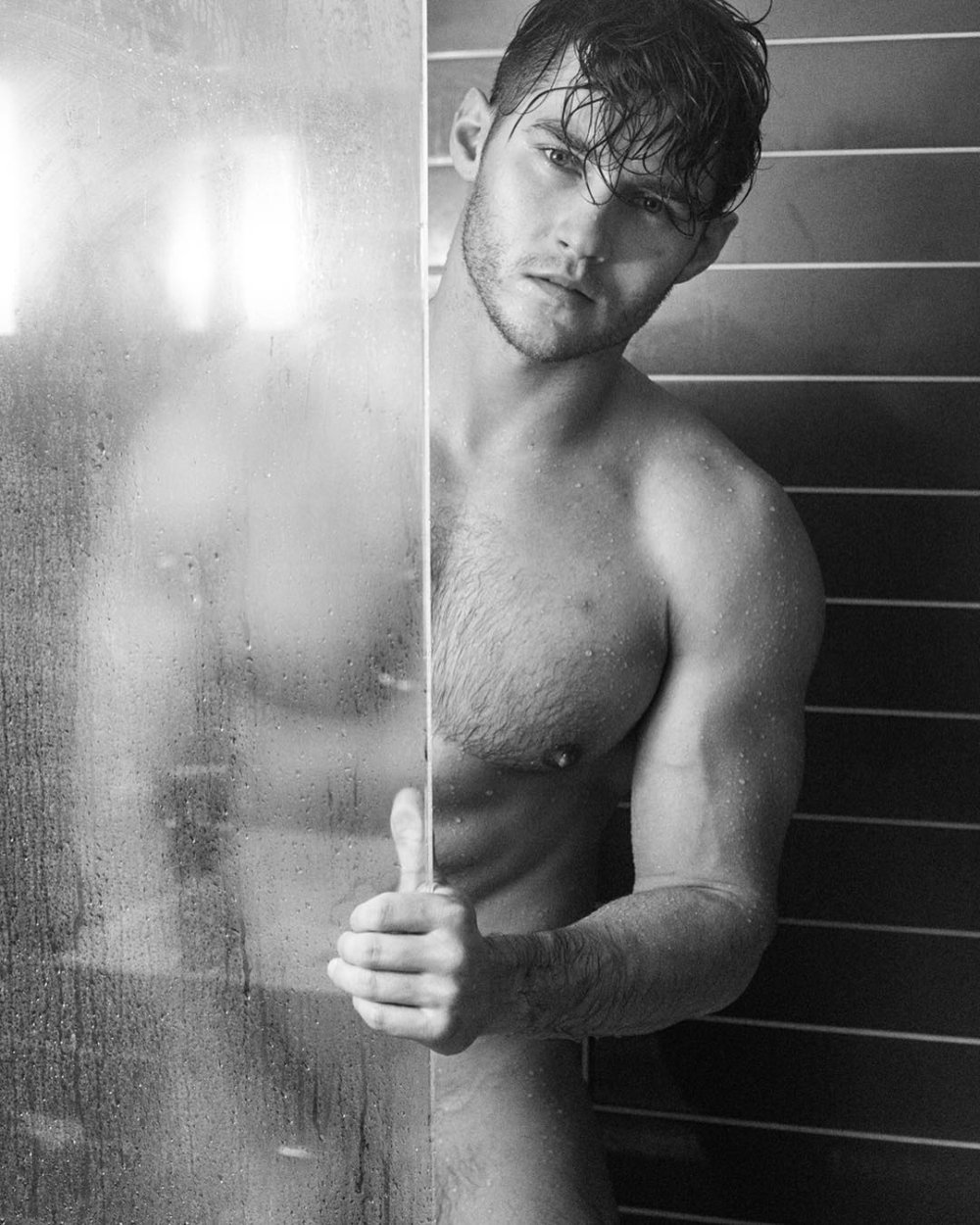 Anatoly Goncharov model