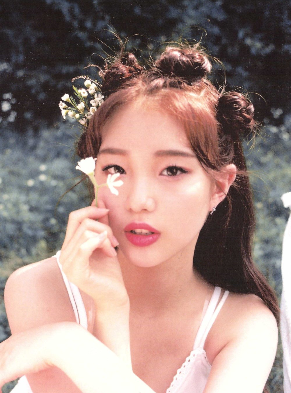 Absolute Boyfriend Drama