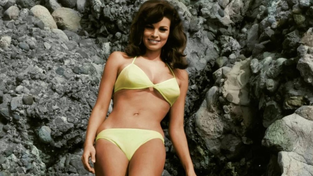 Actress Rackel Welch