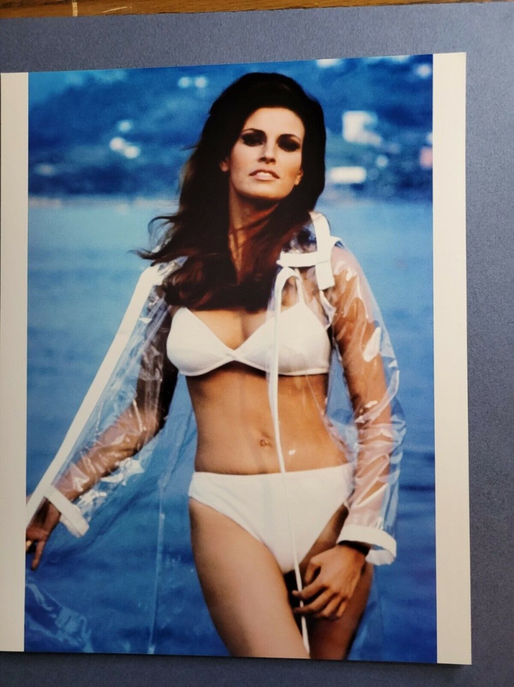 Rakel Welch Hot Youth