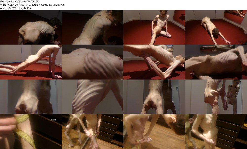 Stefani Moon Open Pussy Pornstar