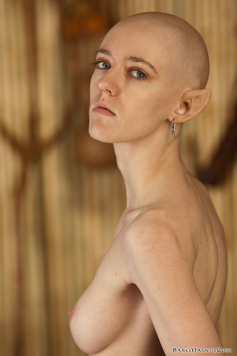 Bald women with big tits