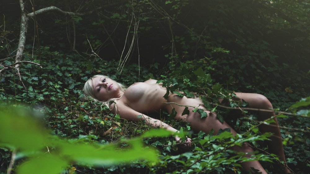 Fun Erotic in the Forest