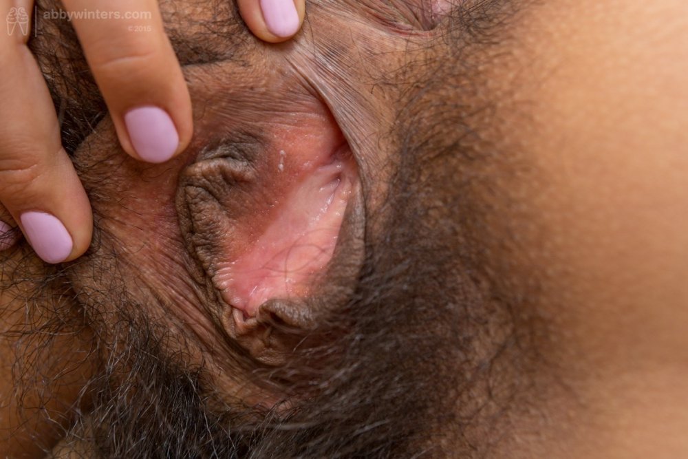 Large hairy vagina