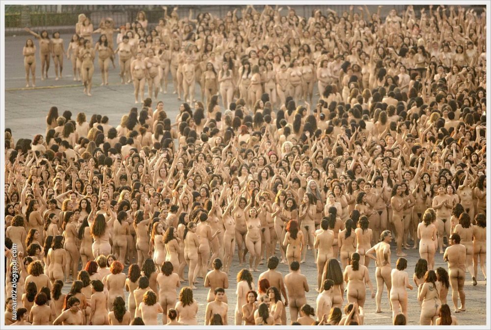 One guy and a lot of bare women