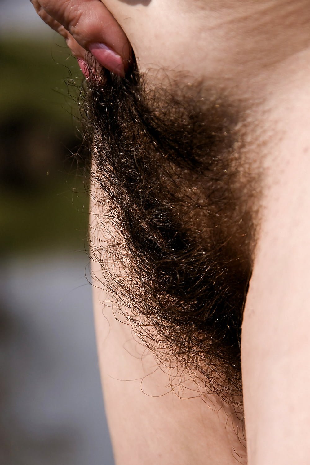 Little hair on pubis
