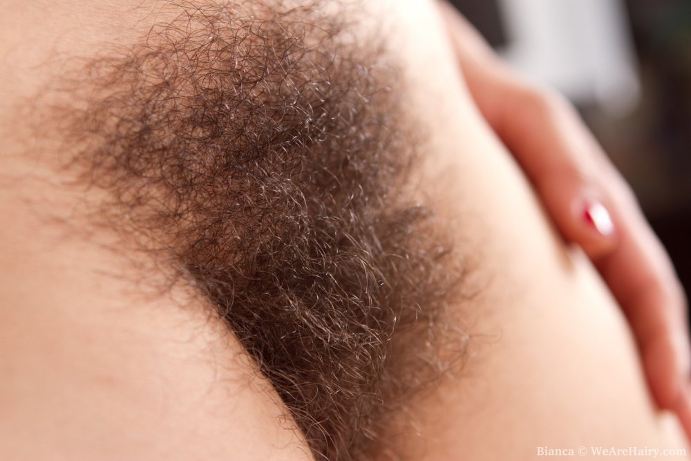 Not Shaved Pubic Hair On The Thights Of Women