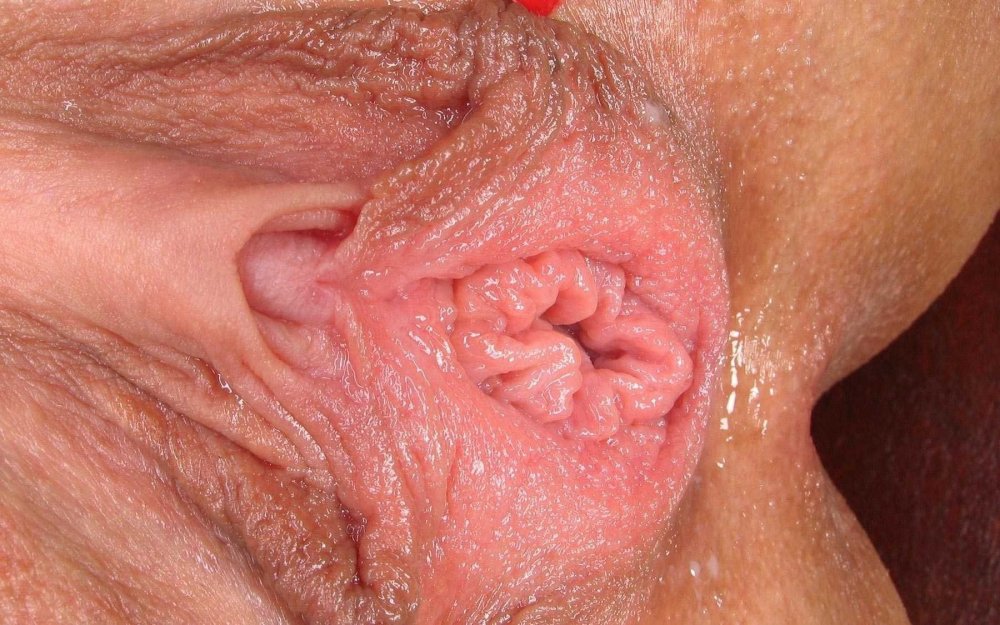 The vagina is very large
