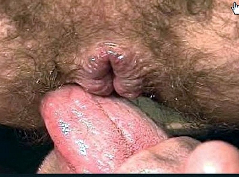 Male Natural Shows Anus