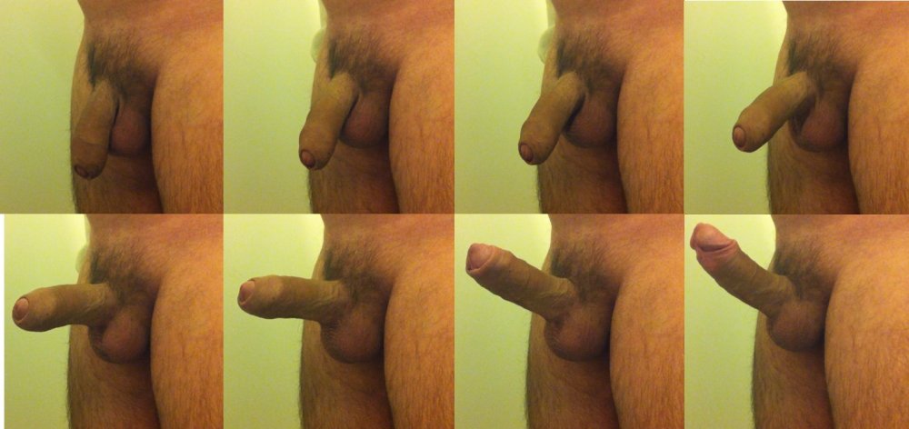Member without erection and with erection