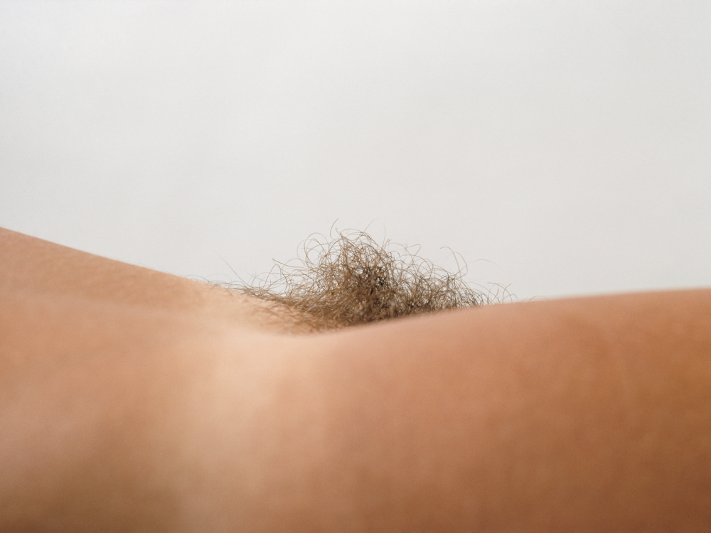 Women's Vagina Types Haircuts