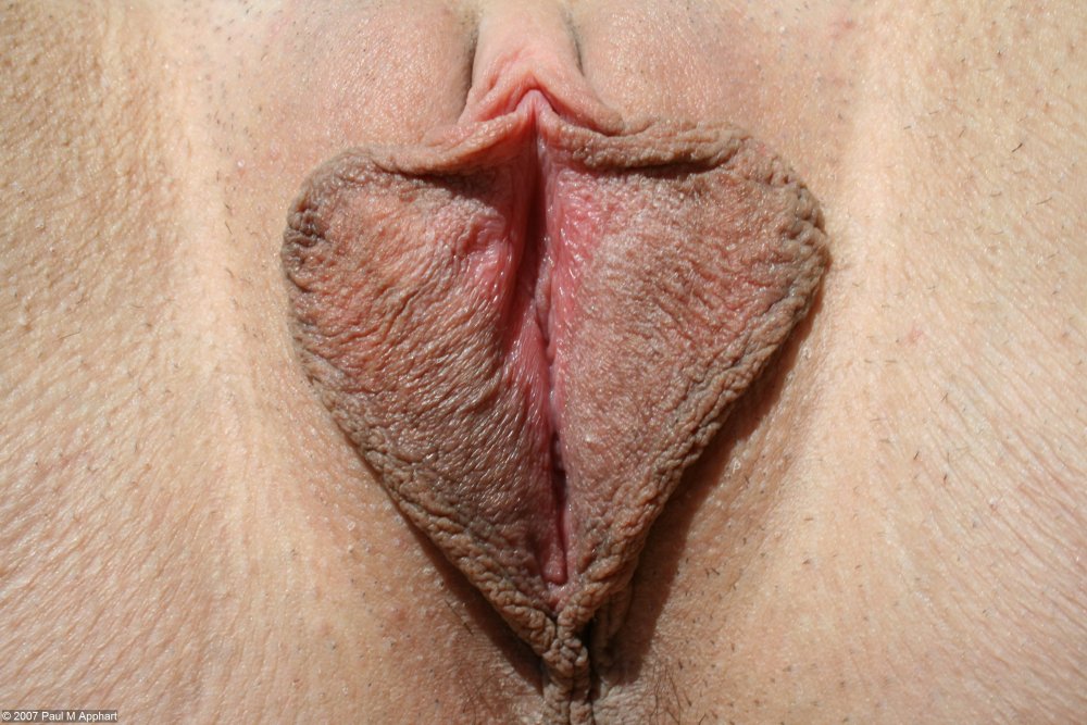 Neat sexual lips