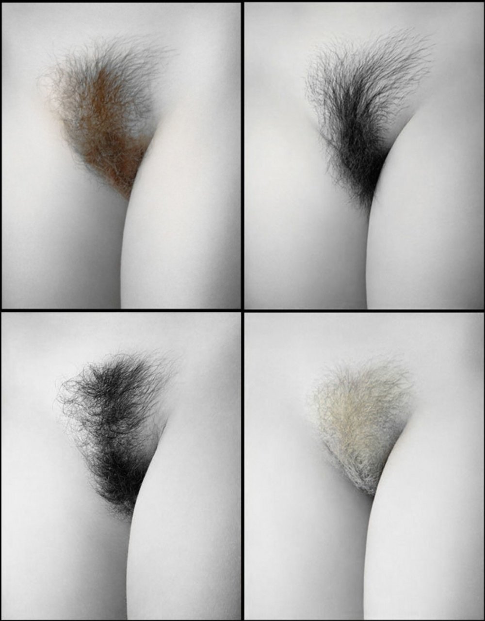 Summary of female pubis