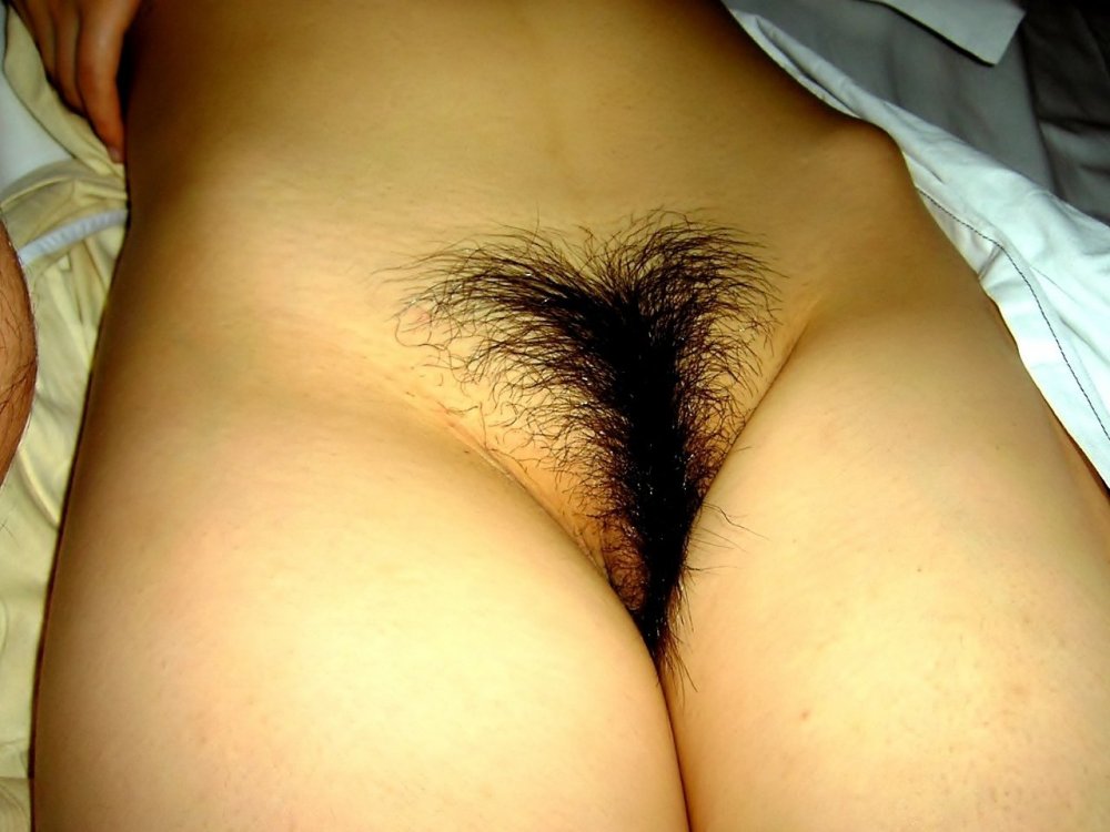 Beautiful hairy female pubis