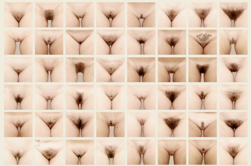 Royal type of vagina