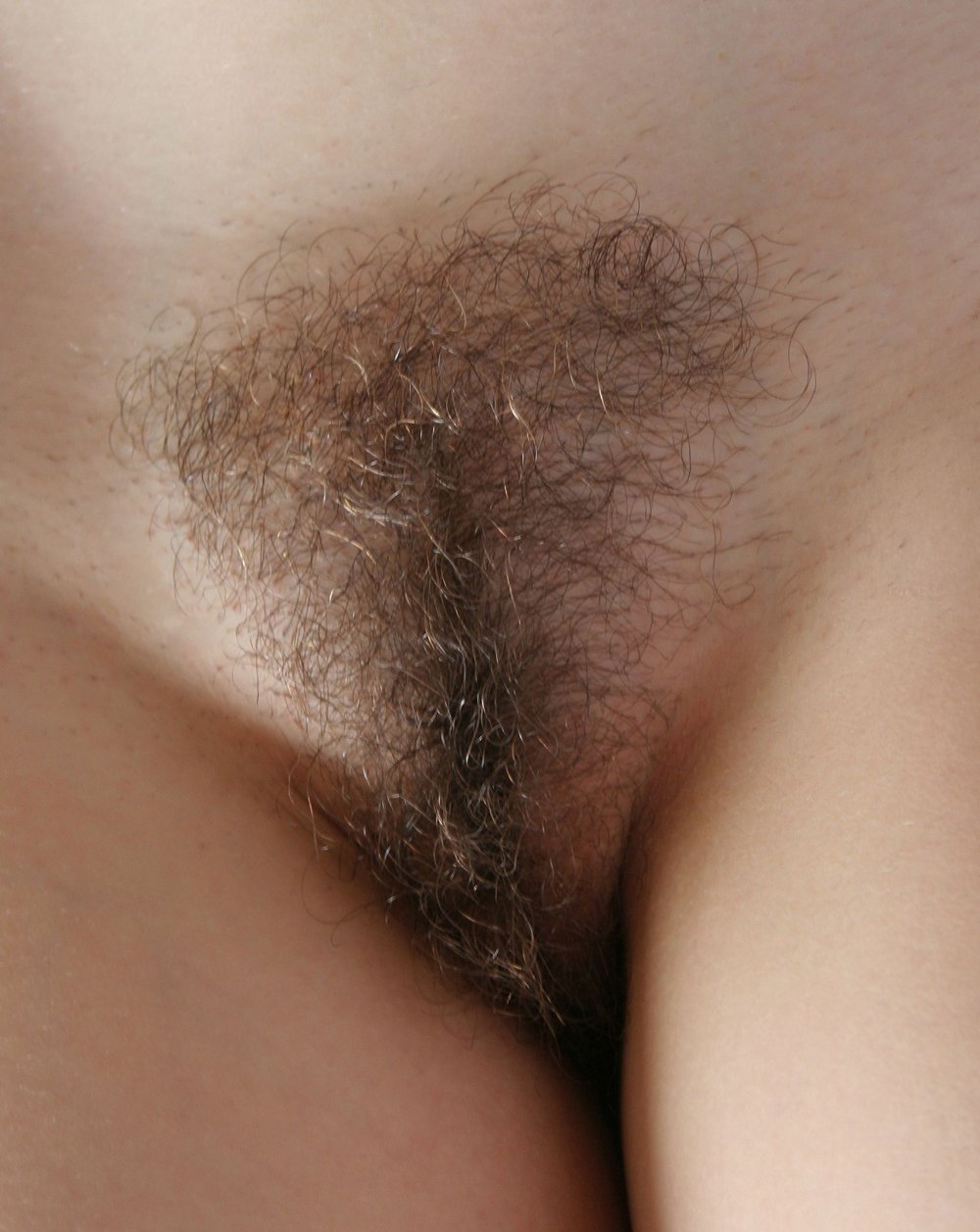 Many hairy women