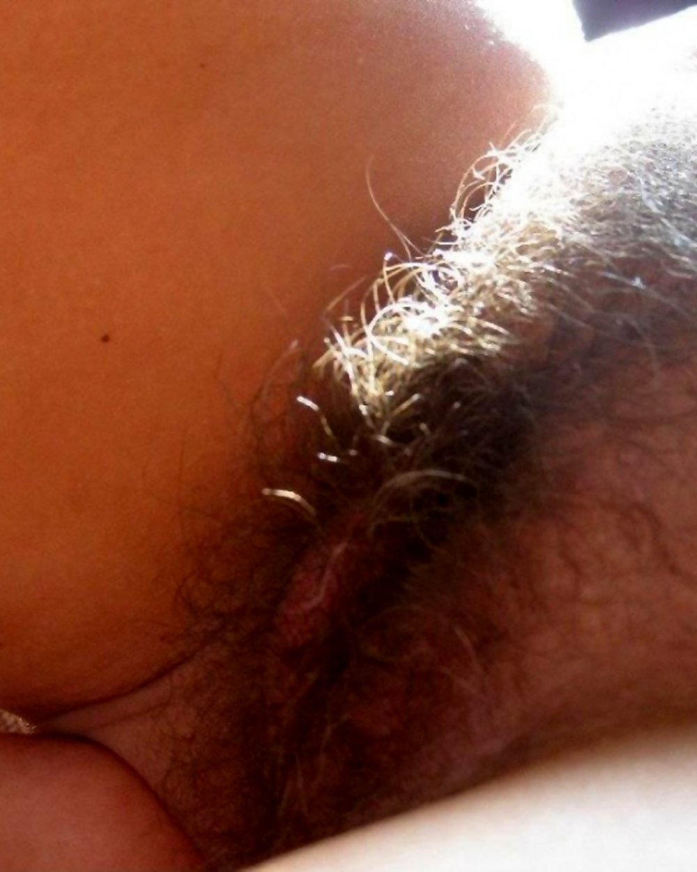 Beautiful hairy female pubis