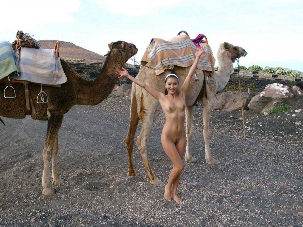 Naked chick on a camel