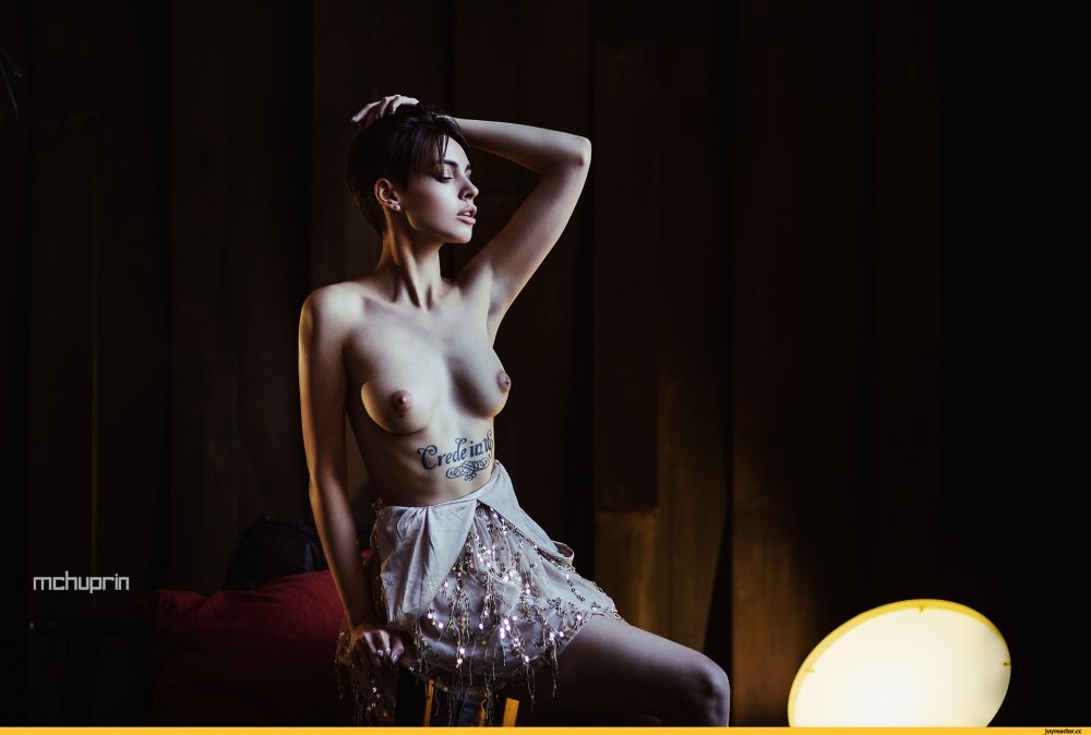 Glory Cat Maxim Chuprin