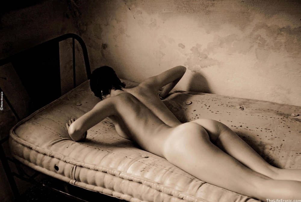 Bruno di Mayo pictures